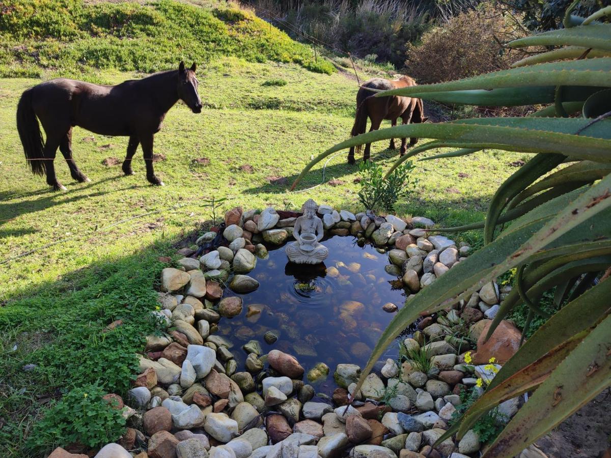 The Riverstone - Romantic Hideaway By The River - Loadshedding Free! Napier Kültér fotó